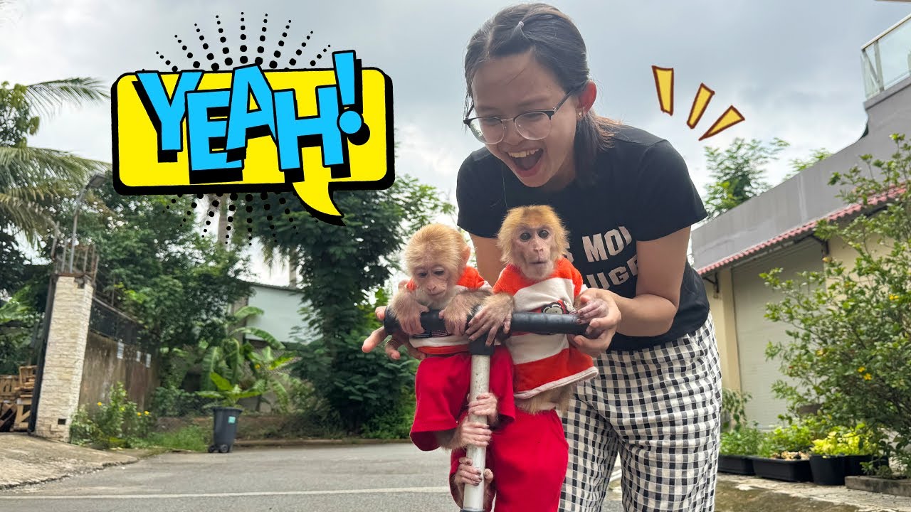 Funny plan of Lucky and Sunny to ride the Scooter!