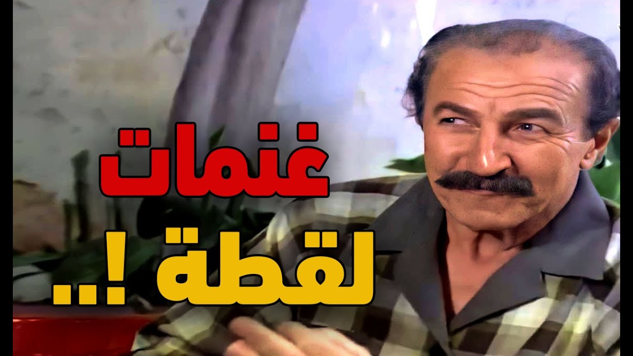 نهفات أبو فهمي : اللحمة طلعت مو مستوية والعالم صارت تسرقها مشان يطبخوها منيح !..