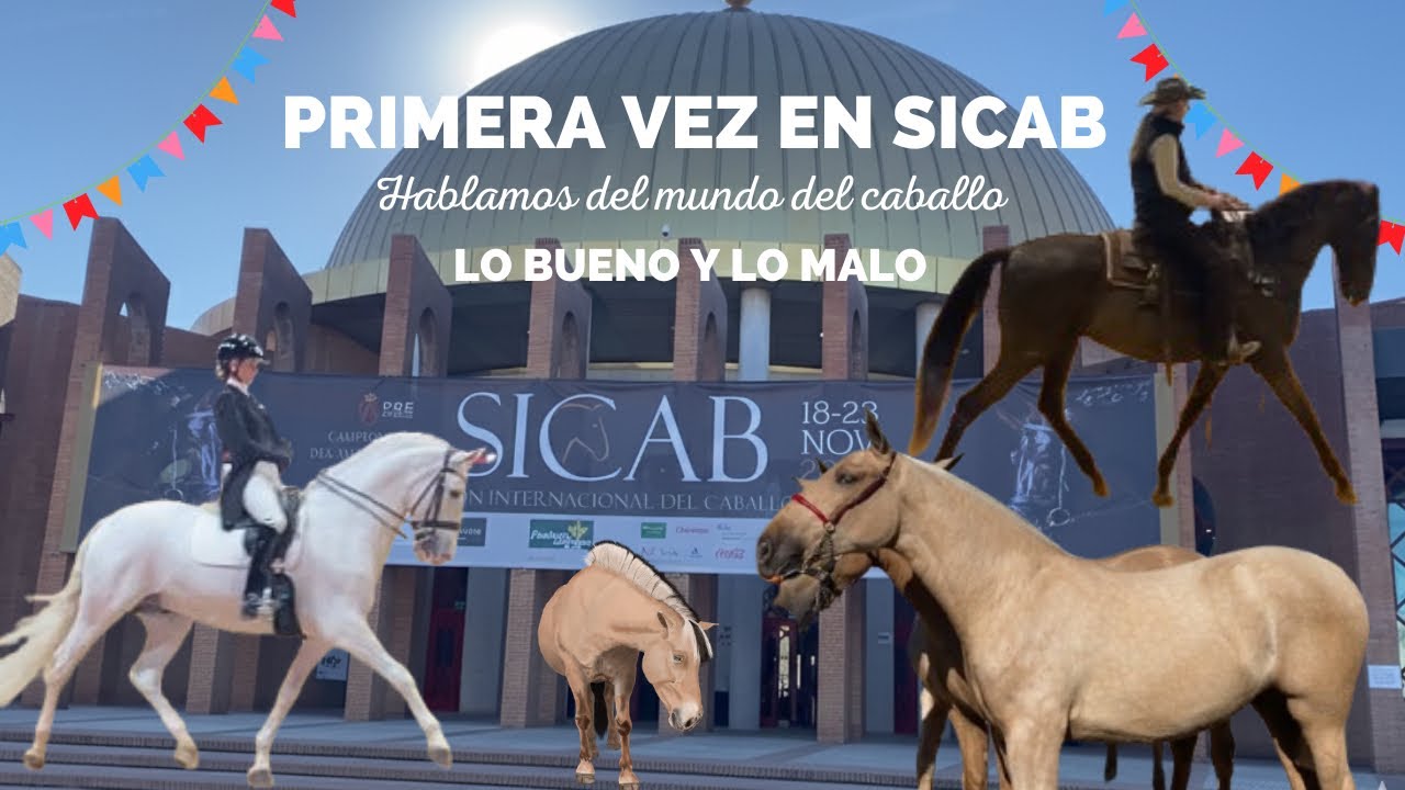 Nos vamos a SICAB! - Nuestra experiencia por primera vez aquí y hablamos del mundo del caballo