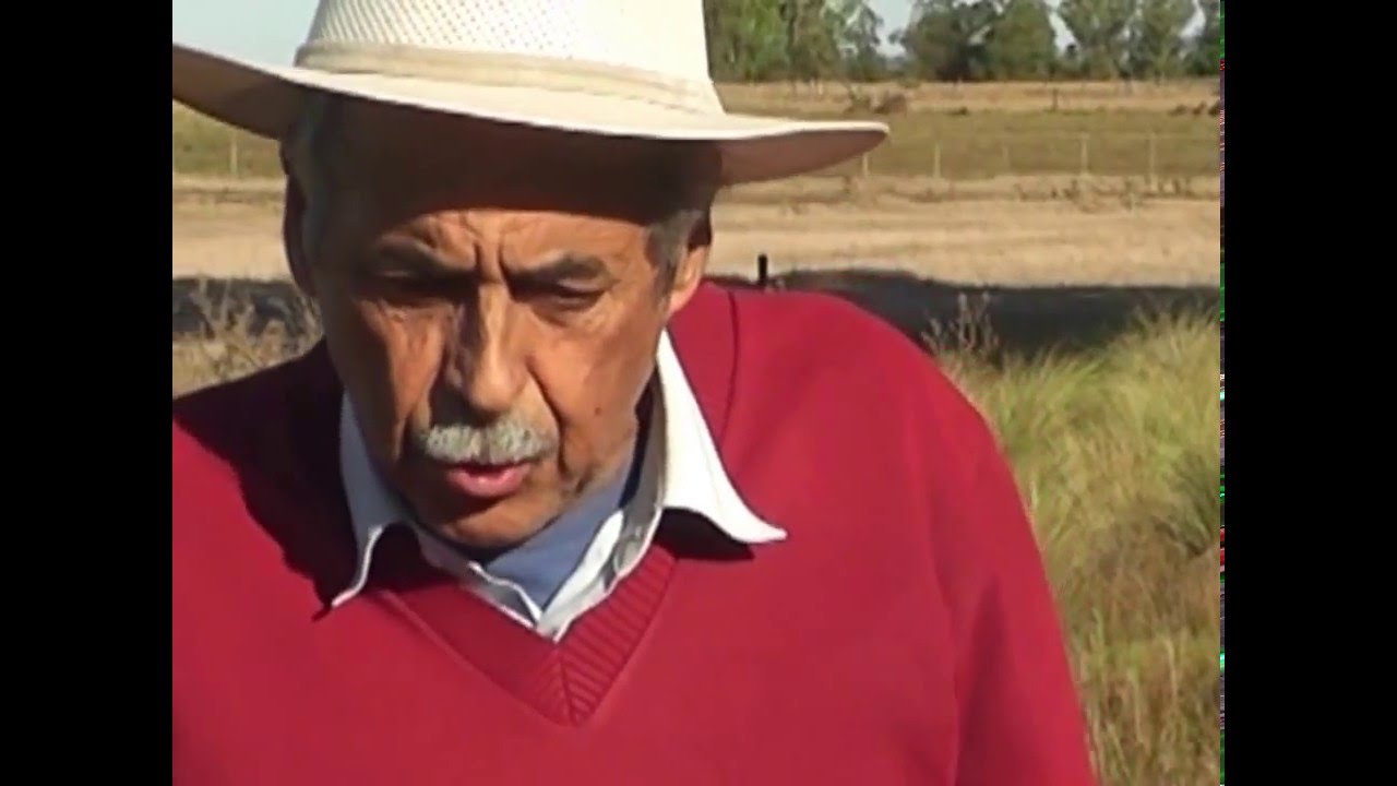 DAVID PEREZ, INTENSIVO DE OVINOS EN CHAMIZO