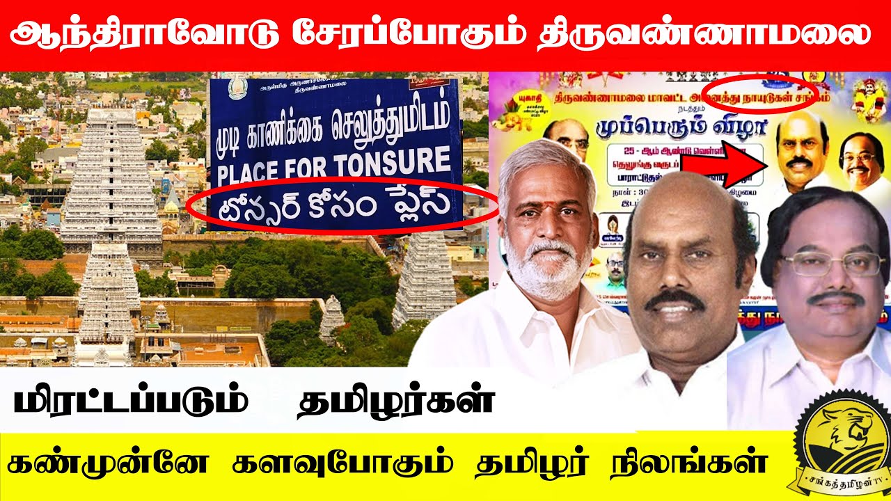 தெலுங்கர் வசமாகும் திருவண்ணாமலை | மிரட்டப்படும் தமிழர்கள் | திராவிடத்தின் சூழ்ச்சி #thiruvannamalai