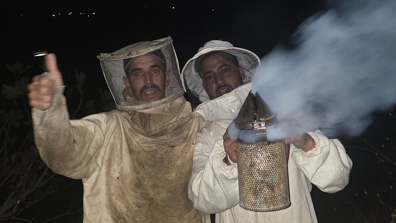 28 أكتوبر 2025