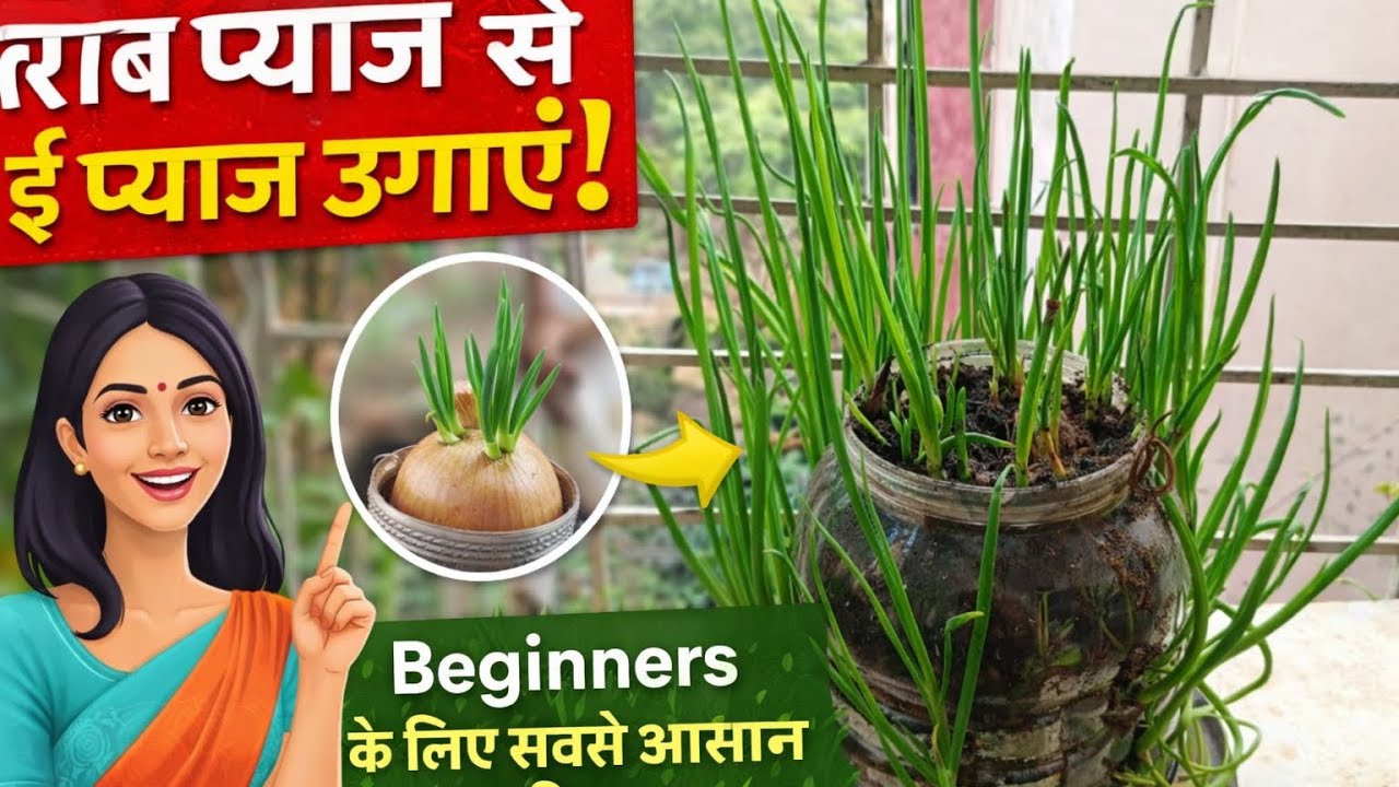 Onion Growing for Beginners 🧅🌿 Kitchen Waste से प्याज उगाएं#diy bottle planter # spring onion