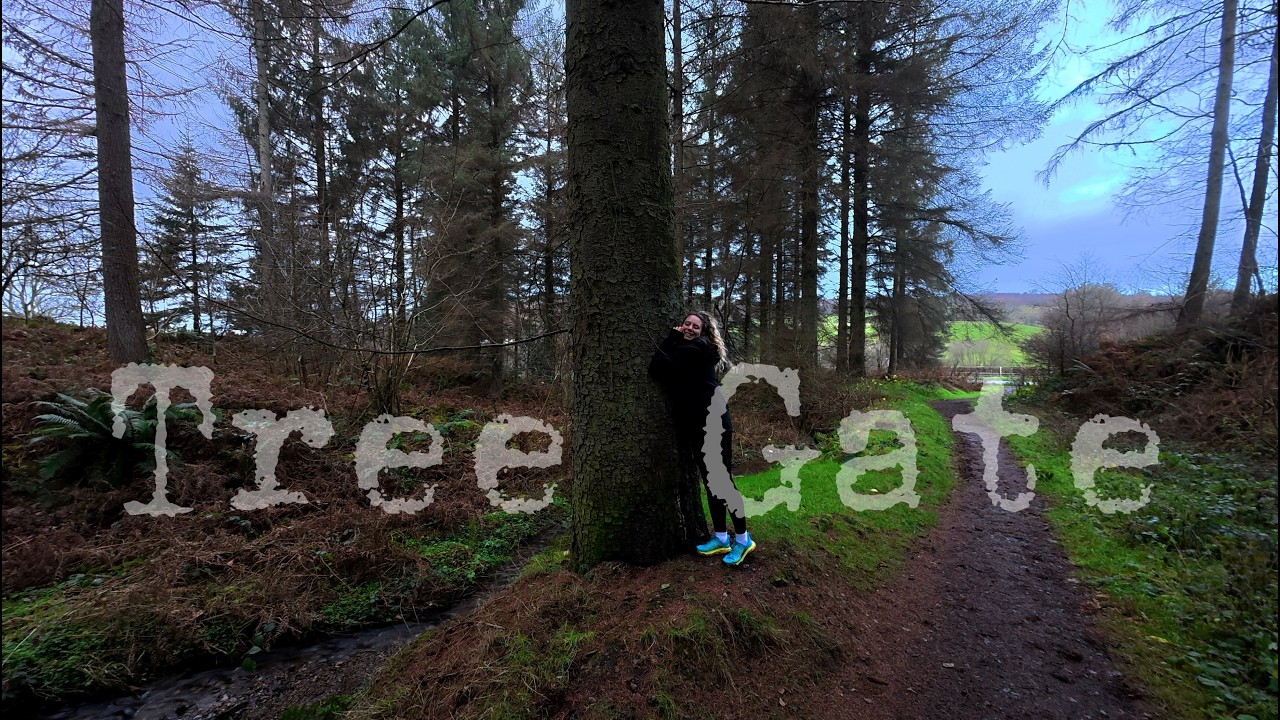Funemployment 2: Tree Gate