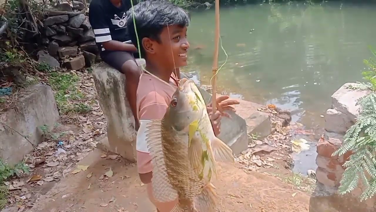 மீன் வேட்டை💥 Don't miss end, don't skip funny moments 😂