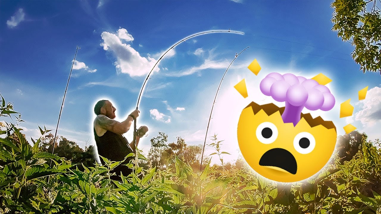 Live-Bisse beim Auslegen | WALLER am TAG