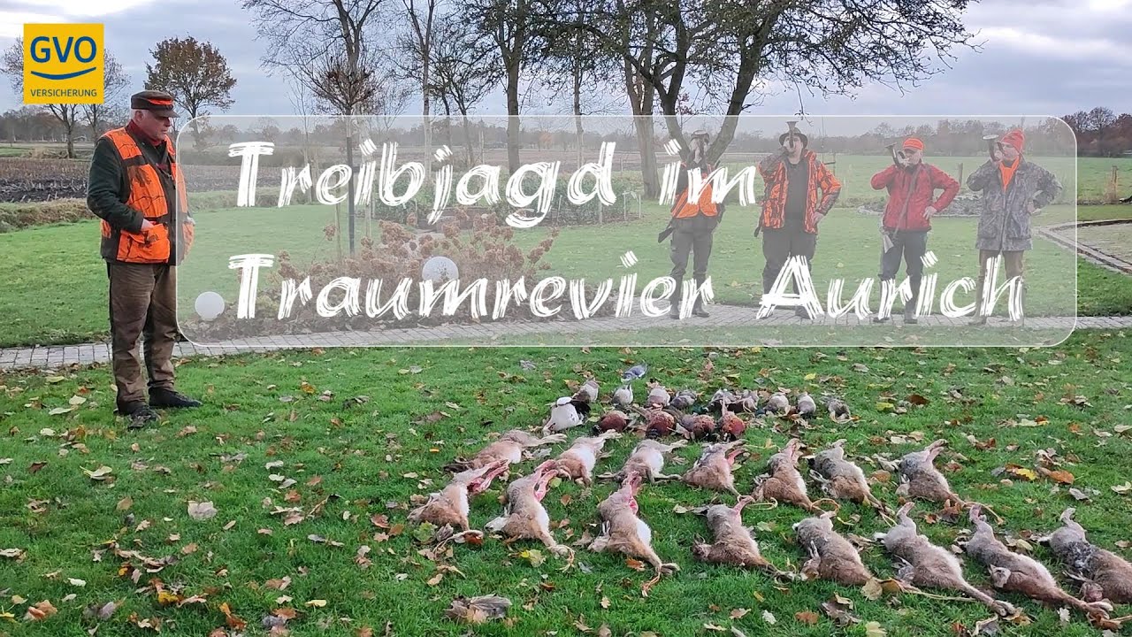 Treibjagd auf Niederwild im Traumrevier Aurich