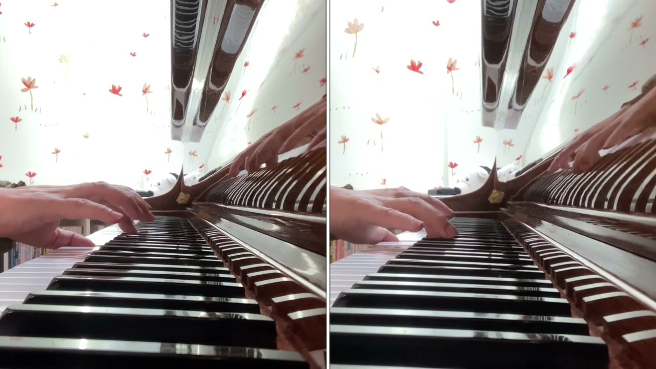 Bach=Shig Sonatina from BWV106