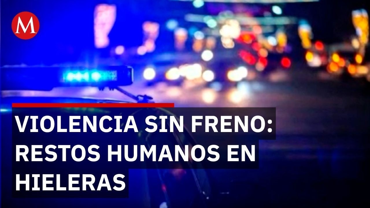 Terror en Veracruz: Hallan restos humanos en hieleras en Lerdo de Tejada y Ángel R. Cabada