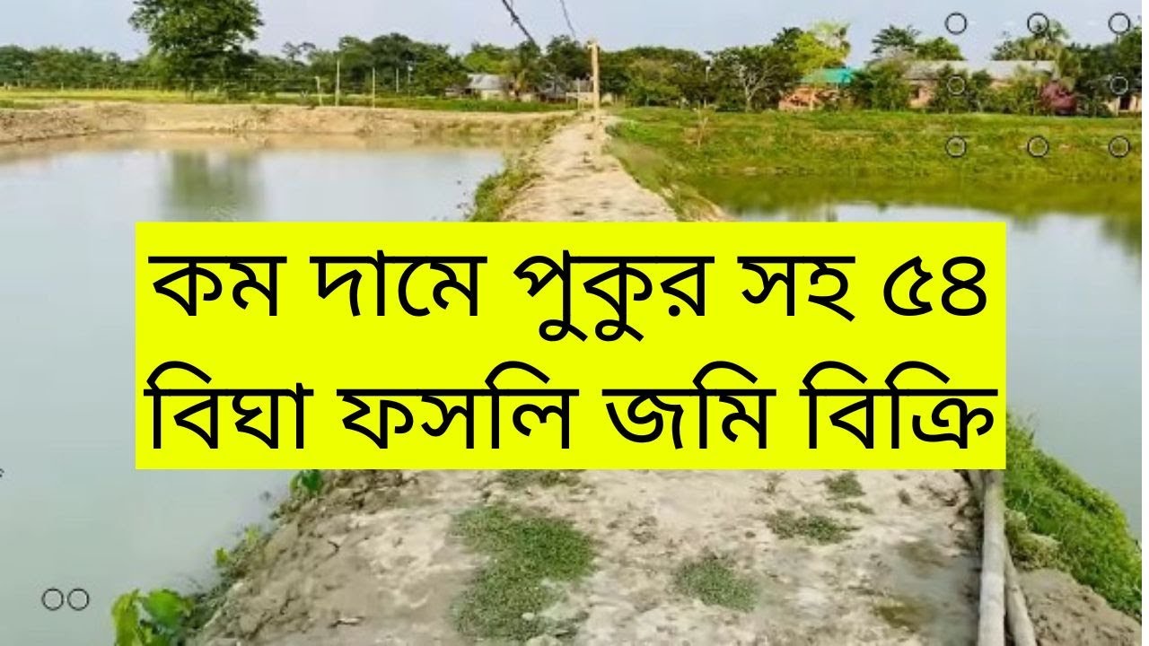 কম দামে এগ্রো ফার্ম ও পুকুরসহ জমি বিক্রি হবে | low price land sale mymensingh netrokona