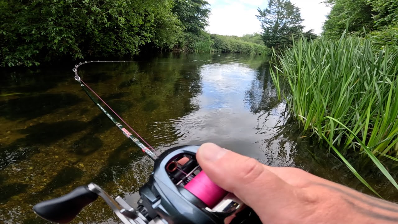 BFS Fishing for WILD Brown Trout 🎣
