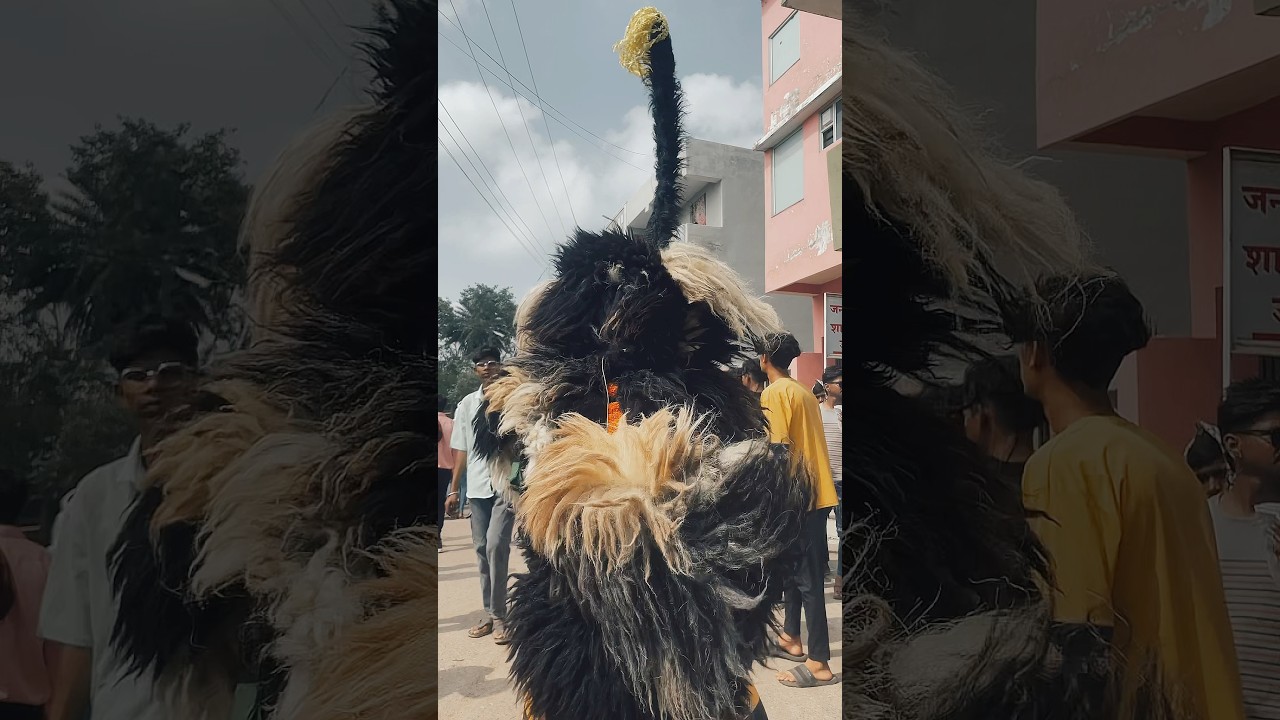 Rajnandgaon sher dance 🦁mohhram 