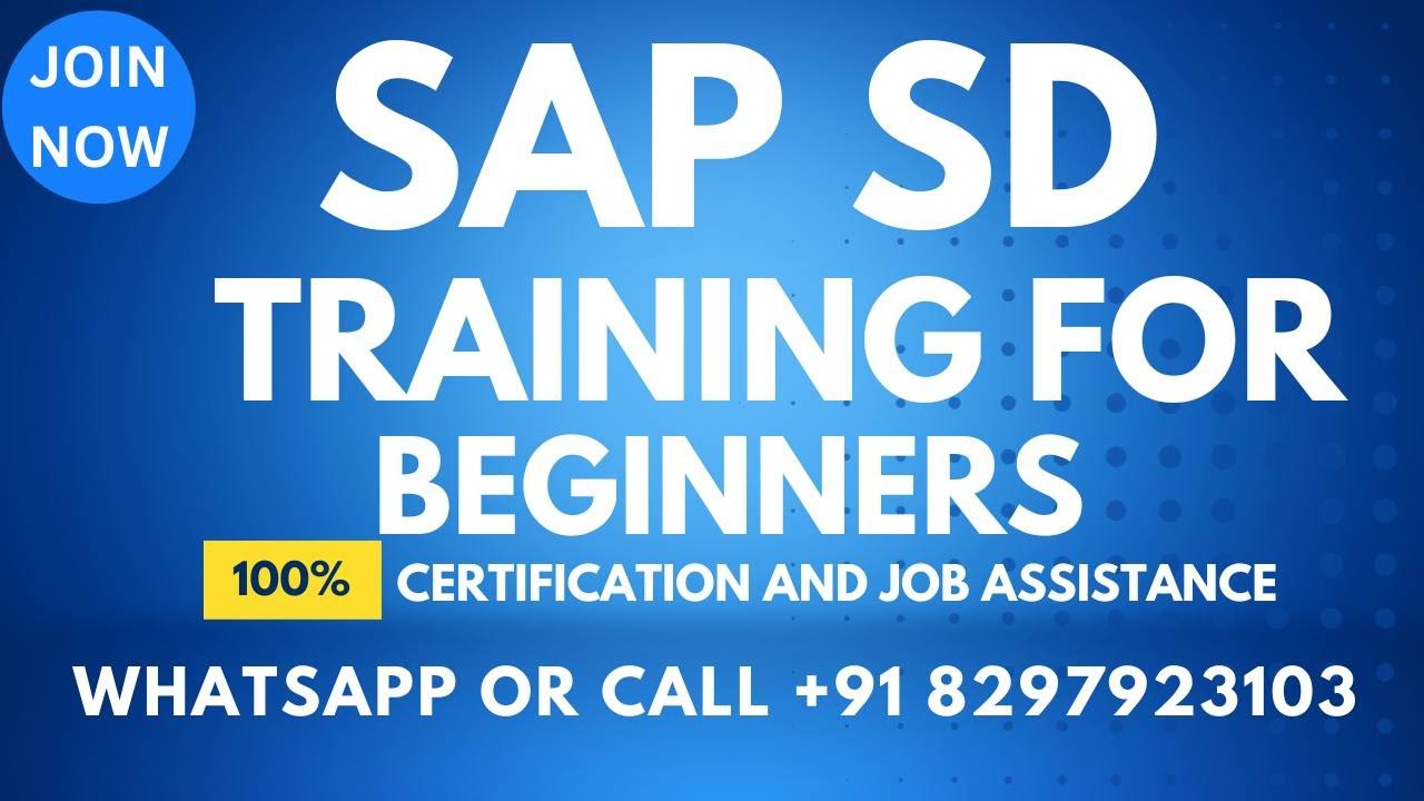 SAP SD Training Video 1 for beginners  Call or What'sApp   +91 8297923103