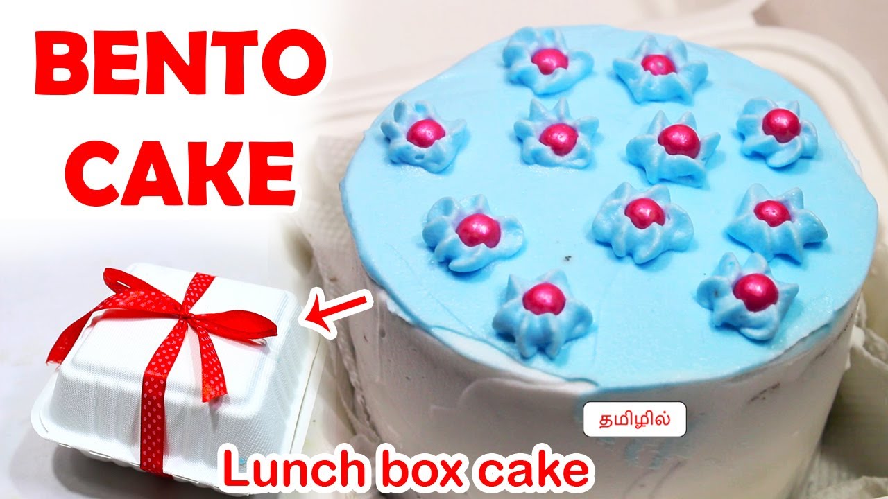 How to make Bento Cake | Lunch box cake recipe | Chocolate Bento Cake | Korean Cake