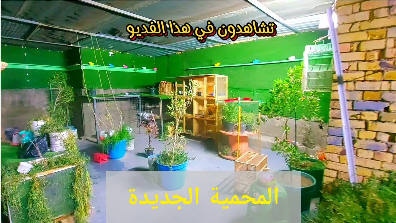 بدأت قناة 