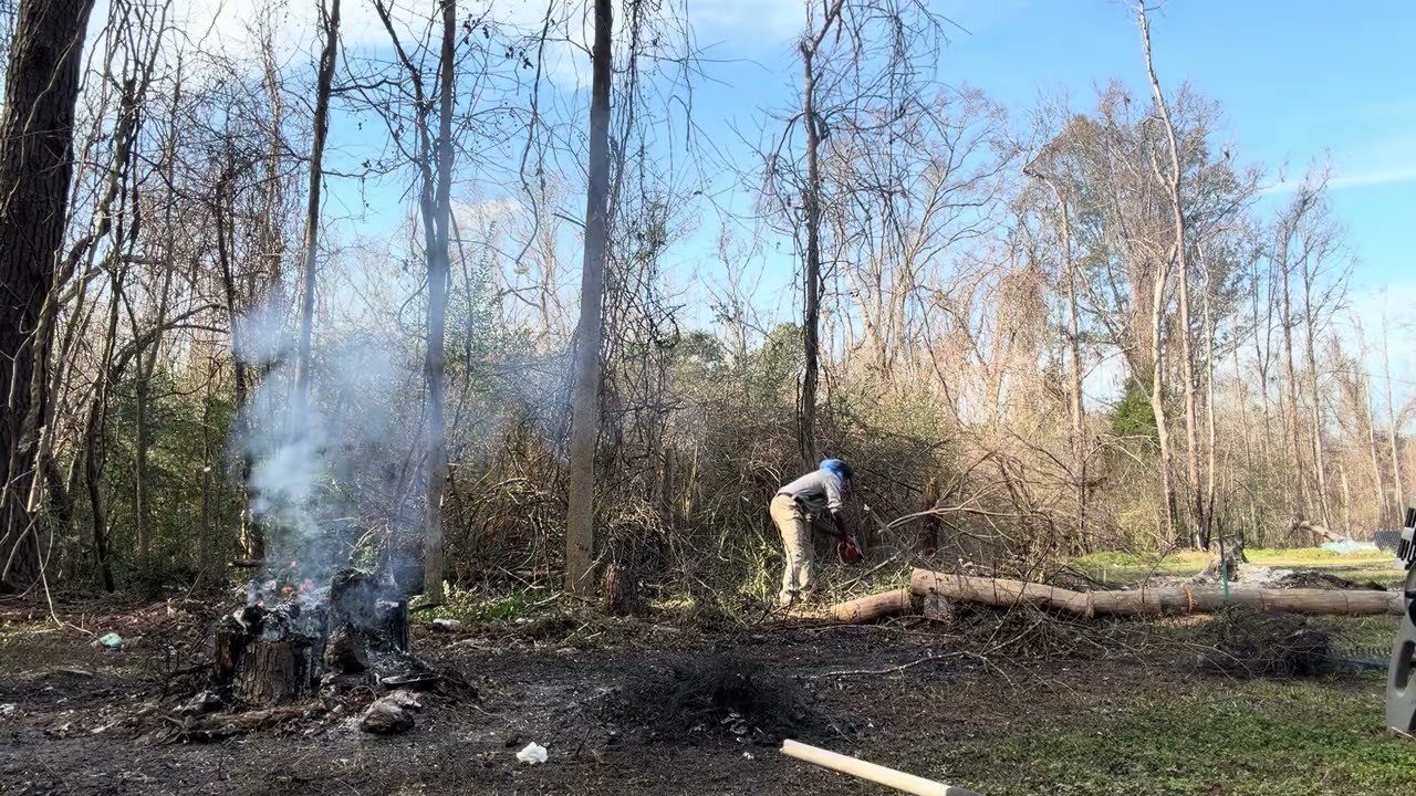 Forest floor makeover