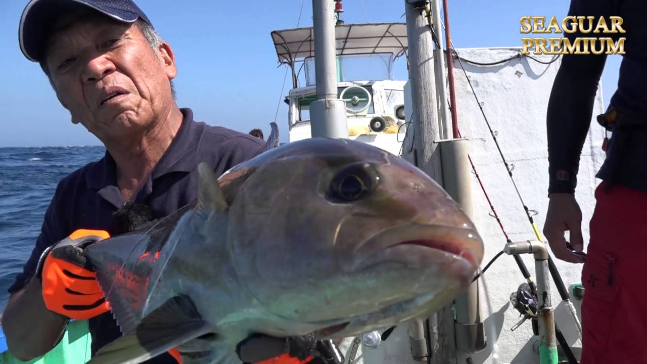 SEAGUAR 船TEAM in 八丈島 〜泳がせ釣り編〜(中村 透×鈴木 新太郎×あべ なぎさ)