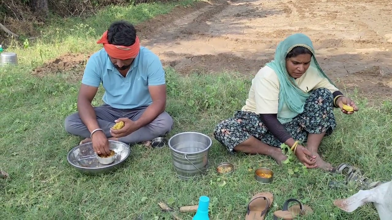 खेतों की जुताई 