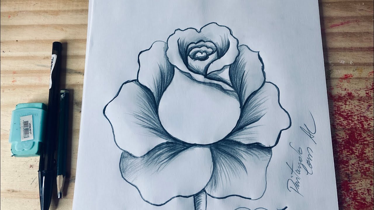 Aprenda a desenhar ✍️ rosas