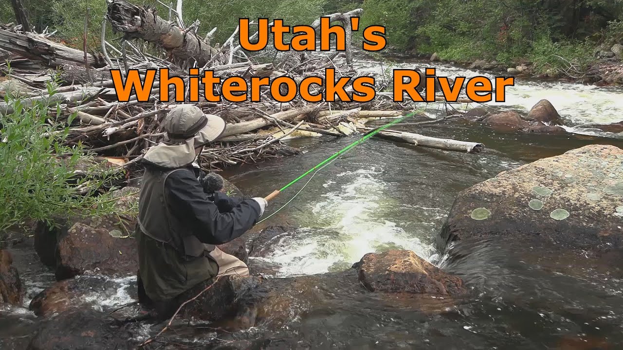 Fly Fishing the Whiterocks River, Utah