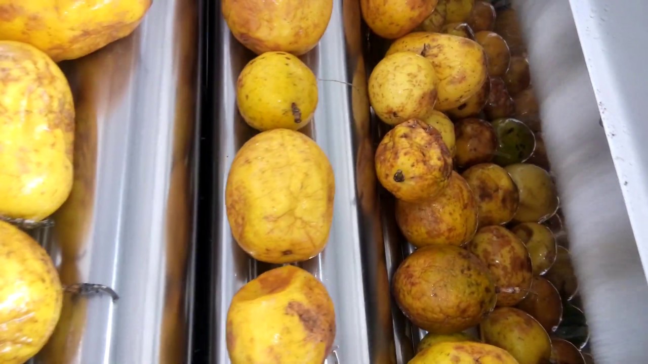 Tropical Food Machinery's Production Range