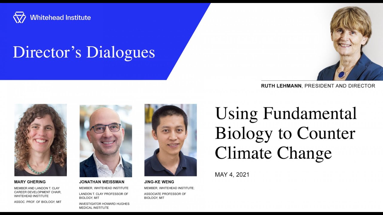 Using Fundamental Biology to Counter Climate Change