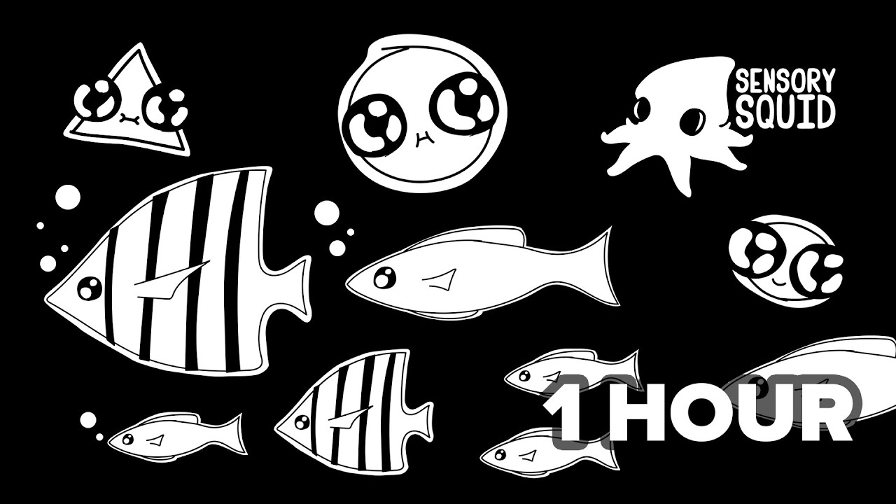 Sensory Squid - Black and White Adventure - 1 HOUR