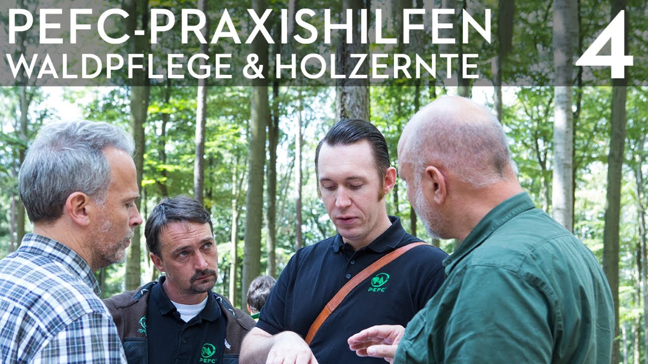Waldpflege und Holzernte – PEFC-Videosprechstunde mit Michael Schiewek
