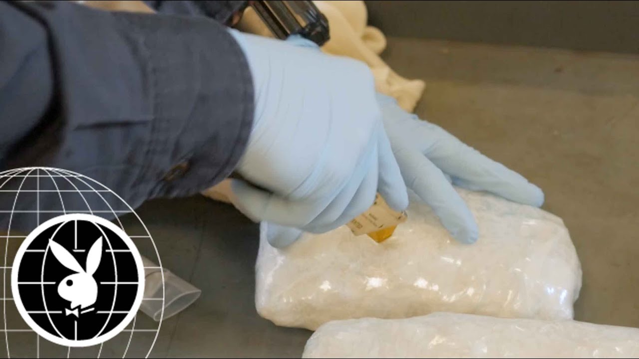 Drug Trafficking at the Border: A High-Stakes Numbers Game
