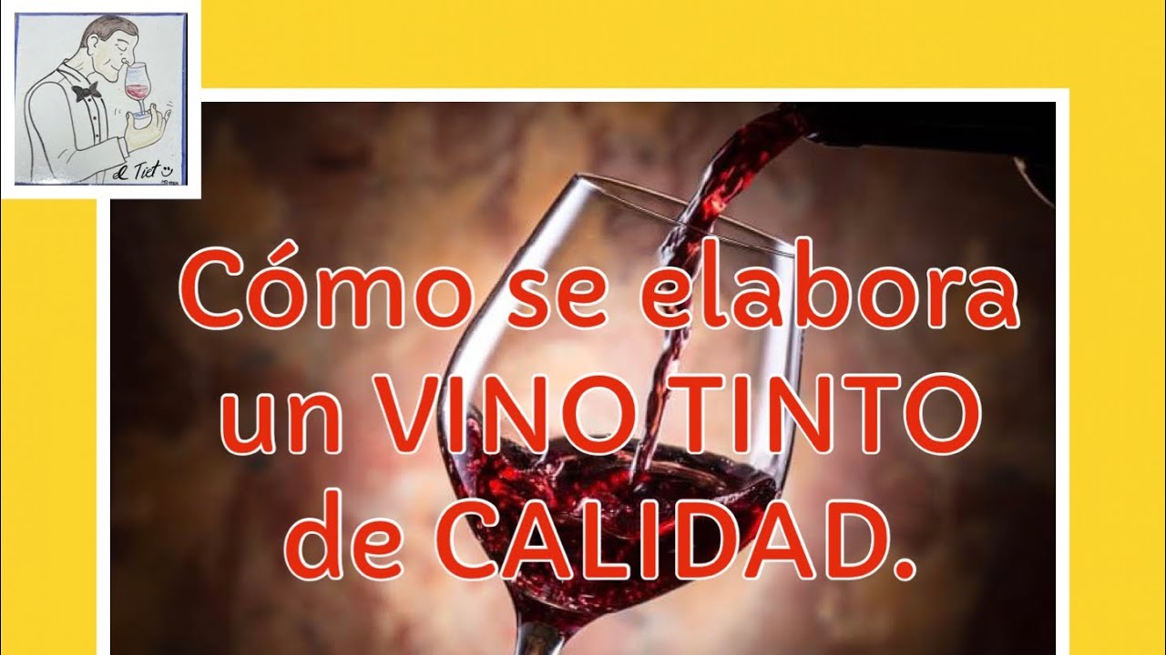 (157) CÓMO SE ELABORA UN VINO TINTO DE CALIDAD.