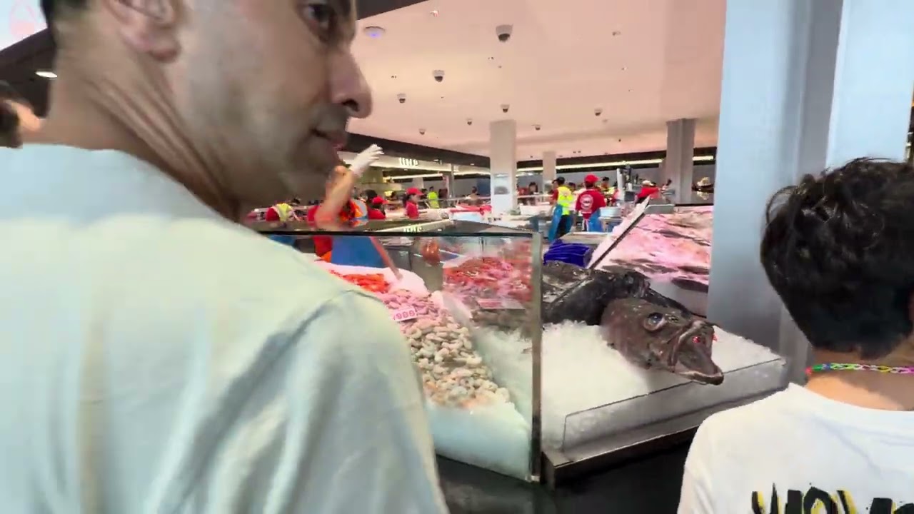 打卡悉尼新鱼市场