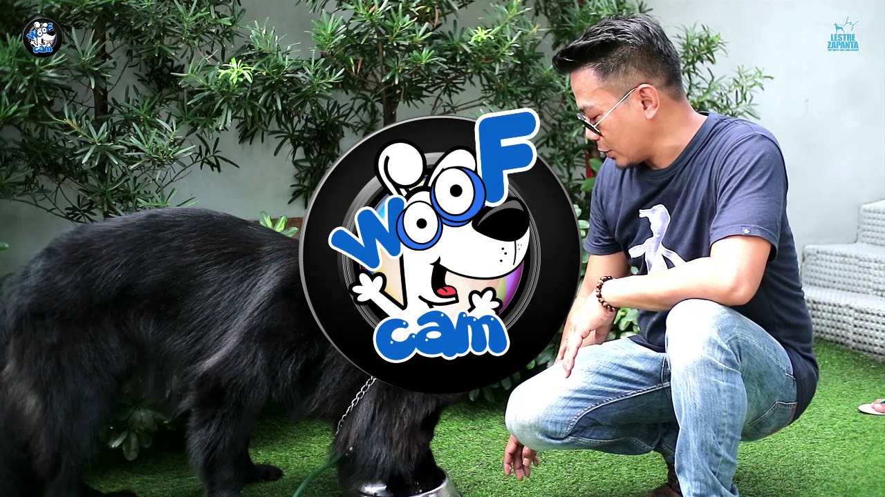 WOOFCAM: Oras ng pagkain