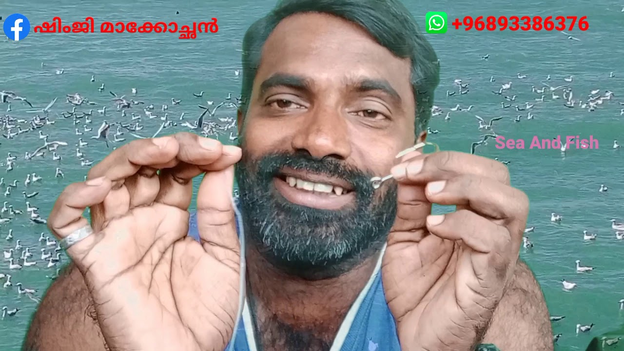 part 2:ചൂണ്ടയുടെ തിരിപ്പ് #SeaAndFish, Sea And Fish, Sea And Fish, Sea And Fish,#shimjimaakkocchan
