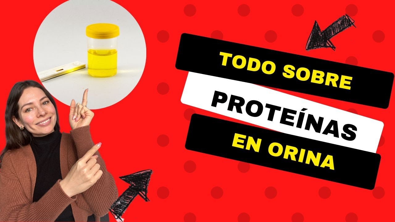 Proteinas en orina: causas y tratamiento