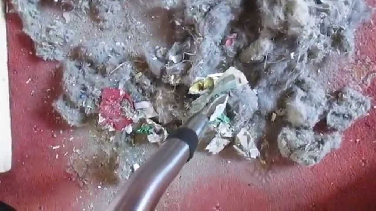 Numatic Henry Semi-Torture Test