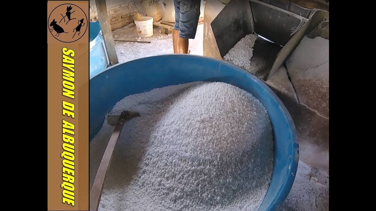 Como é fabricada a Farinha de Tapioca | Lança para pesca de Pirarucu