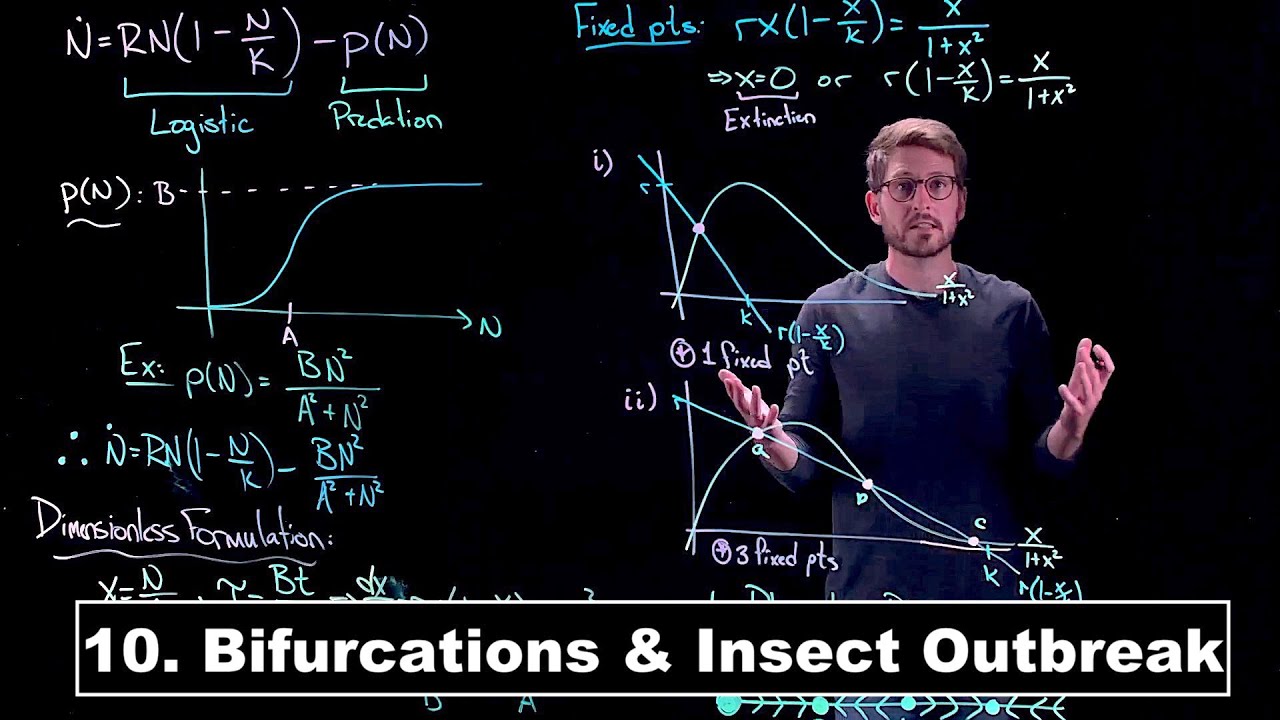 Bifurcations in a Model for Insect Outbreak - Dynamical Systems | Lecture 10