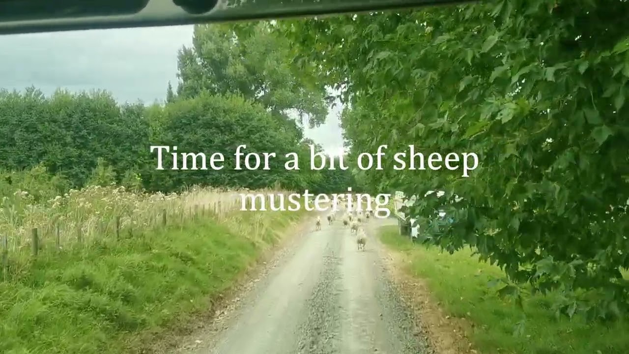 New Zealand - Gisborne to TK