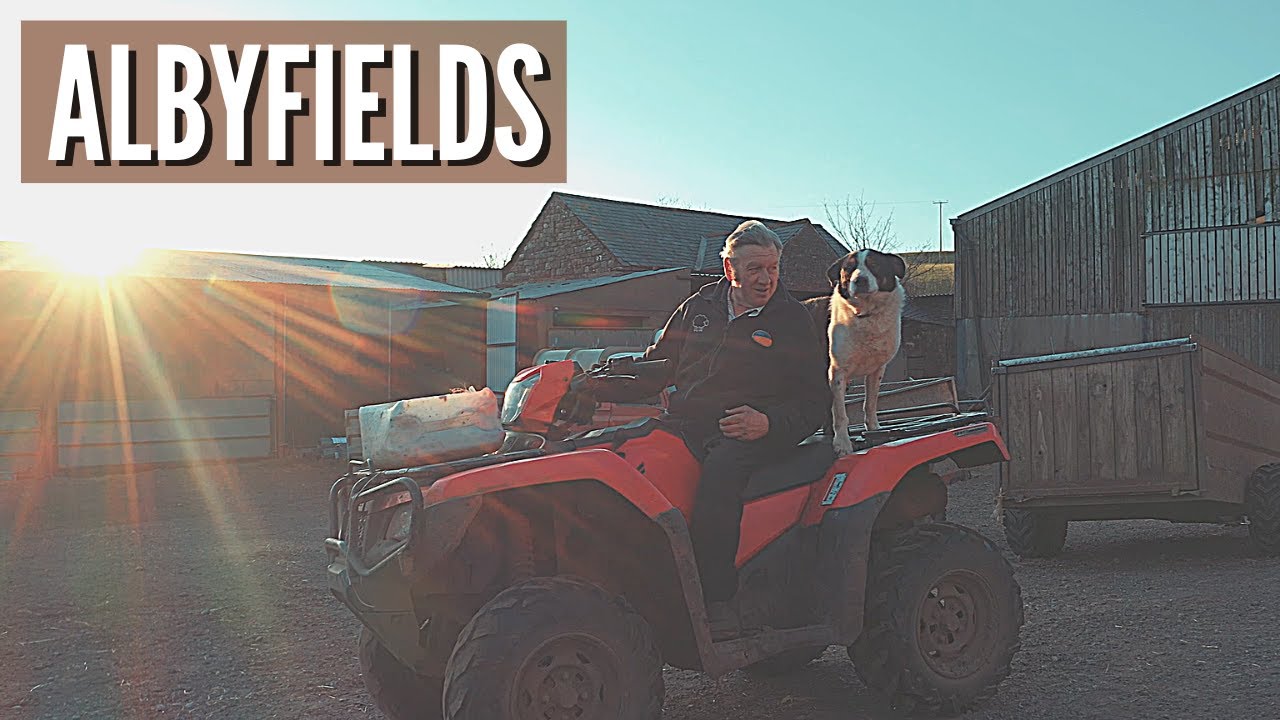 Farm Life | Sheep Farming | Cattle farming | Carlisle | Cumbria UK | DJI Mavic 2 Pro | Lake District
