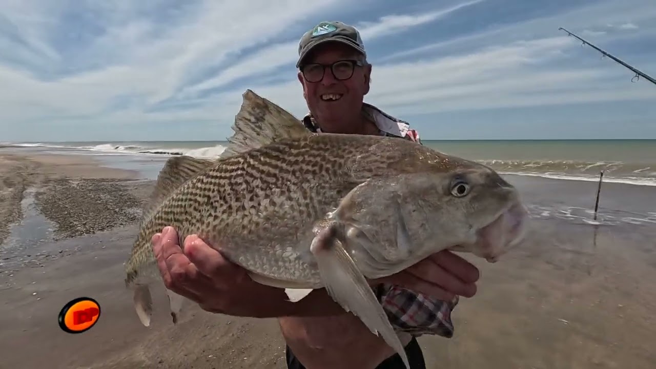 DIA DE PESCA Nº 1235 SANJON CURRIES - NECOCHEA 2025