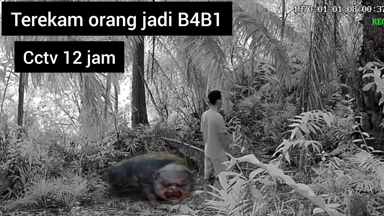 Eksperimen cctv 12 jam terekam manusia ngepet di tengah hutan angker || cctv horor