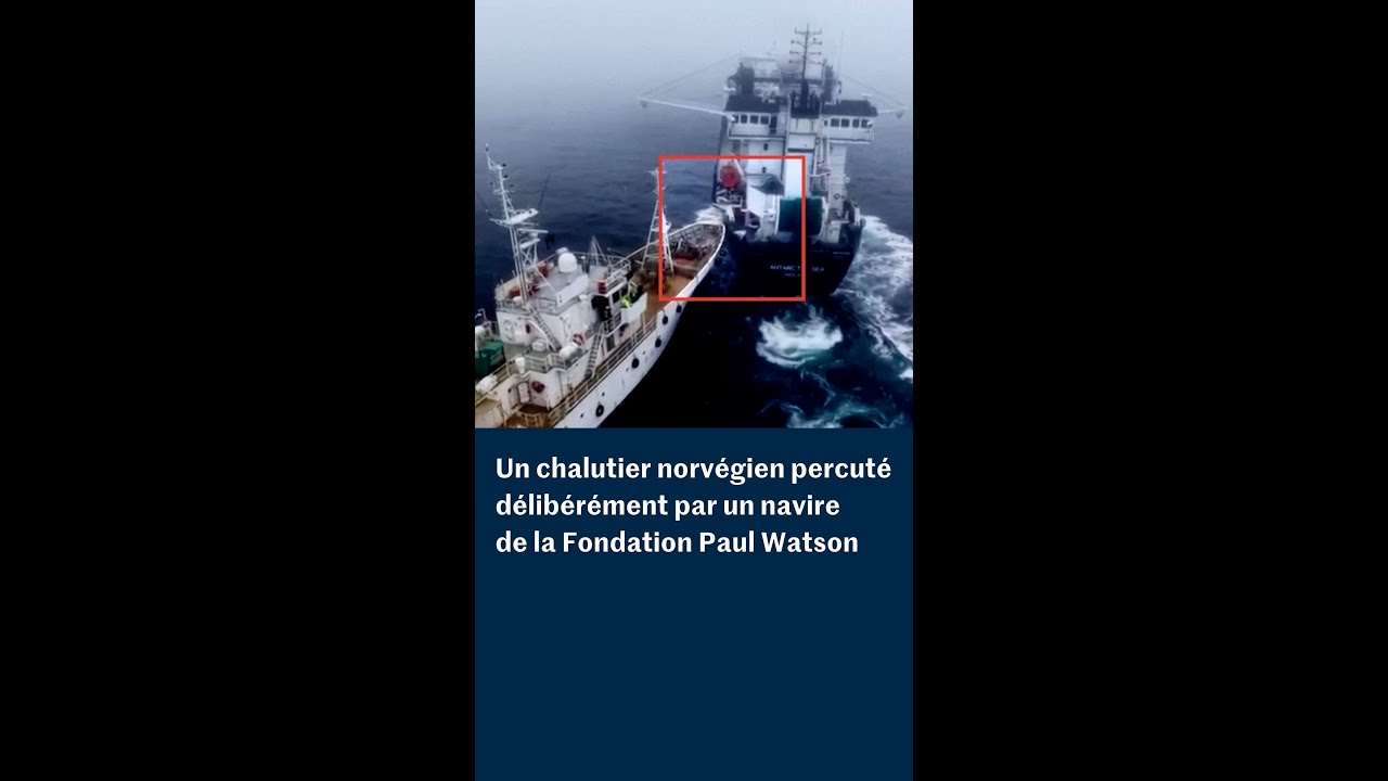 Un navire de la Fondation Paul Watson percute d&eacute;lib&eacute;r&eacute;ment un chalutier norv&eacute;gien