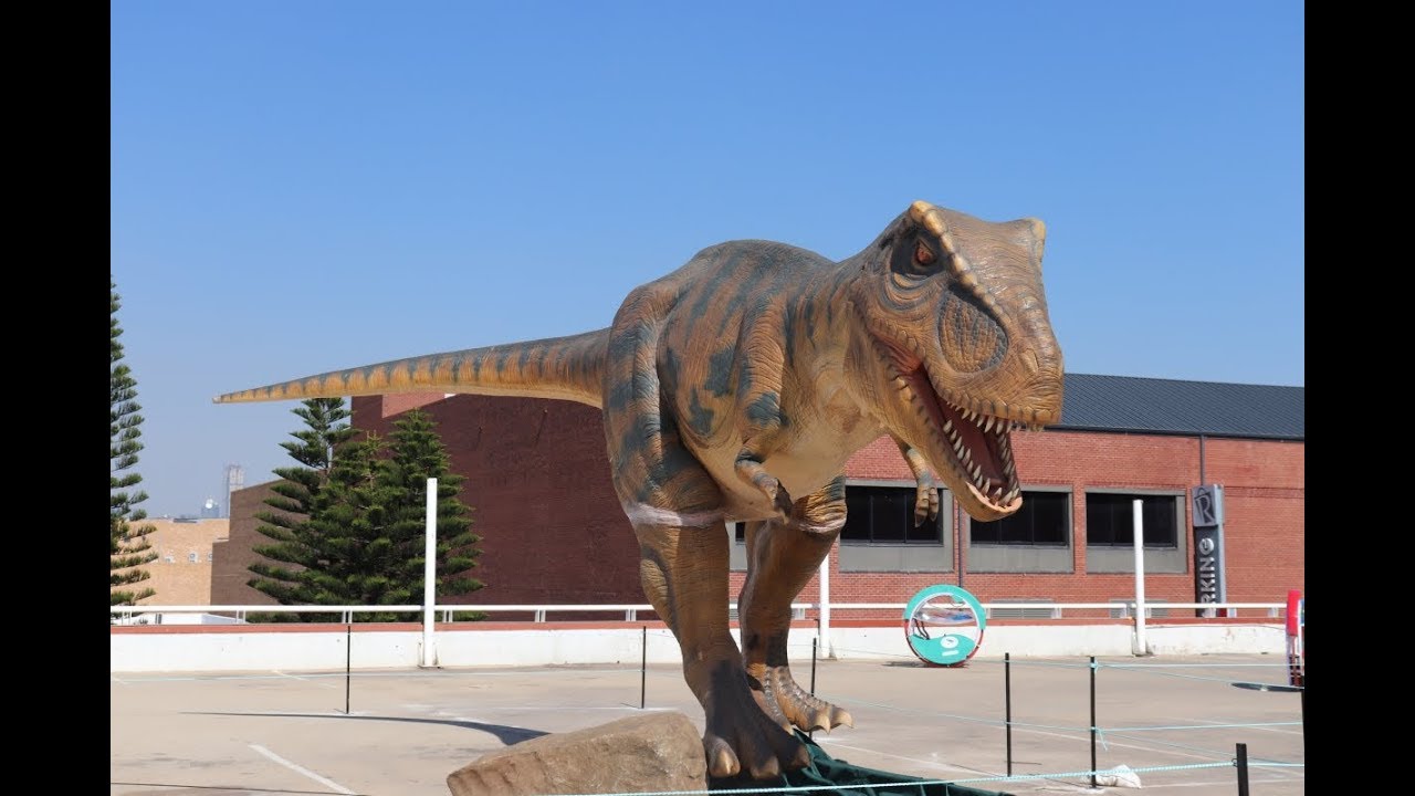 the dino expo in South Africa