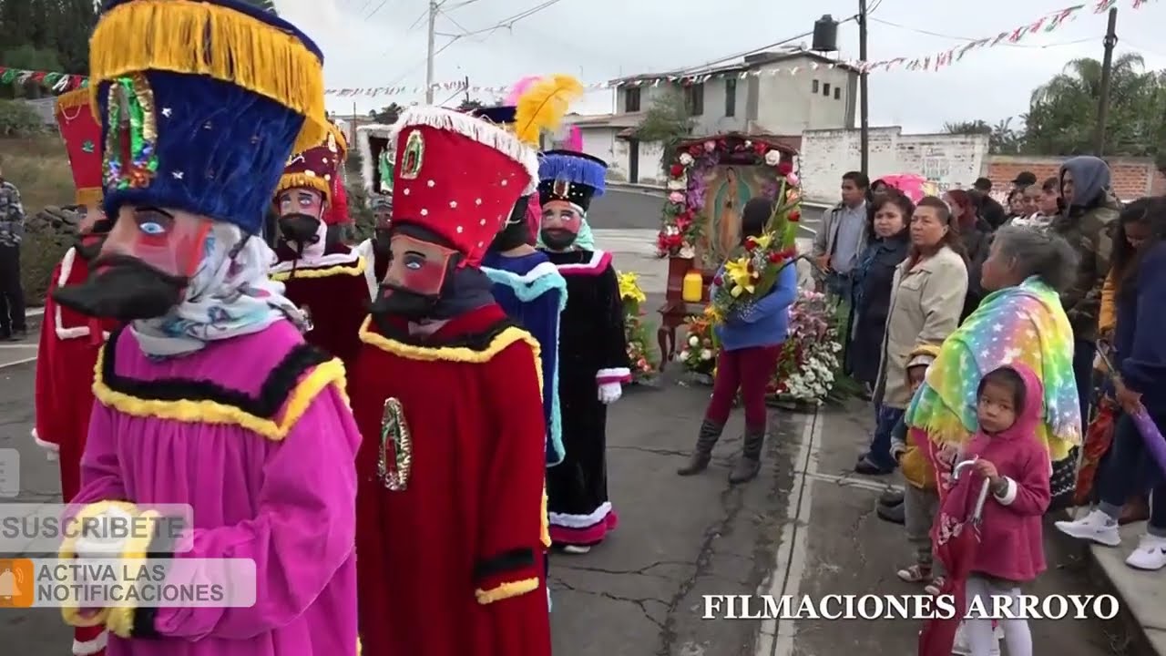 Fiesta en Honor a la Virgen de Guadalupe | Cortijo Viejo 2023