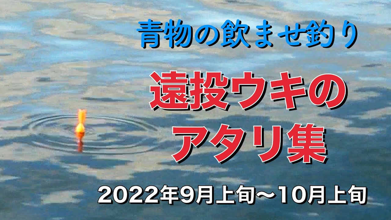 飲ませ釣りで青物が見せる豪快なアタリ　2022年9月上旬〜10月上旬