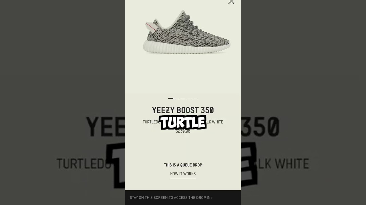 How I Won the BEST YEEZY on YEEZY Day🕊