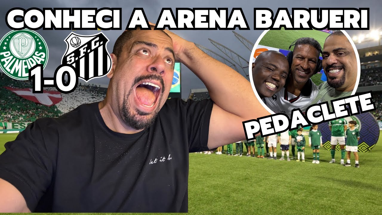 IMAGENS EXCLUSIVAS: VEJA COMO FOI A VITÓRIA DO  VERDÃK e a festa da TORCIDA - PALMEIRAS 1 x 0 SANTOS