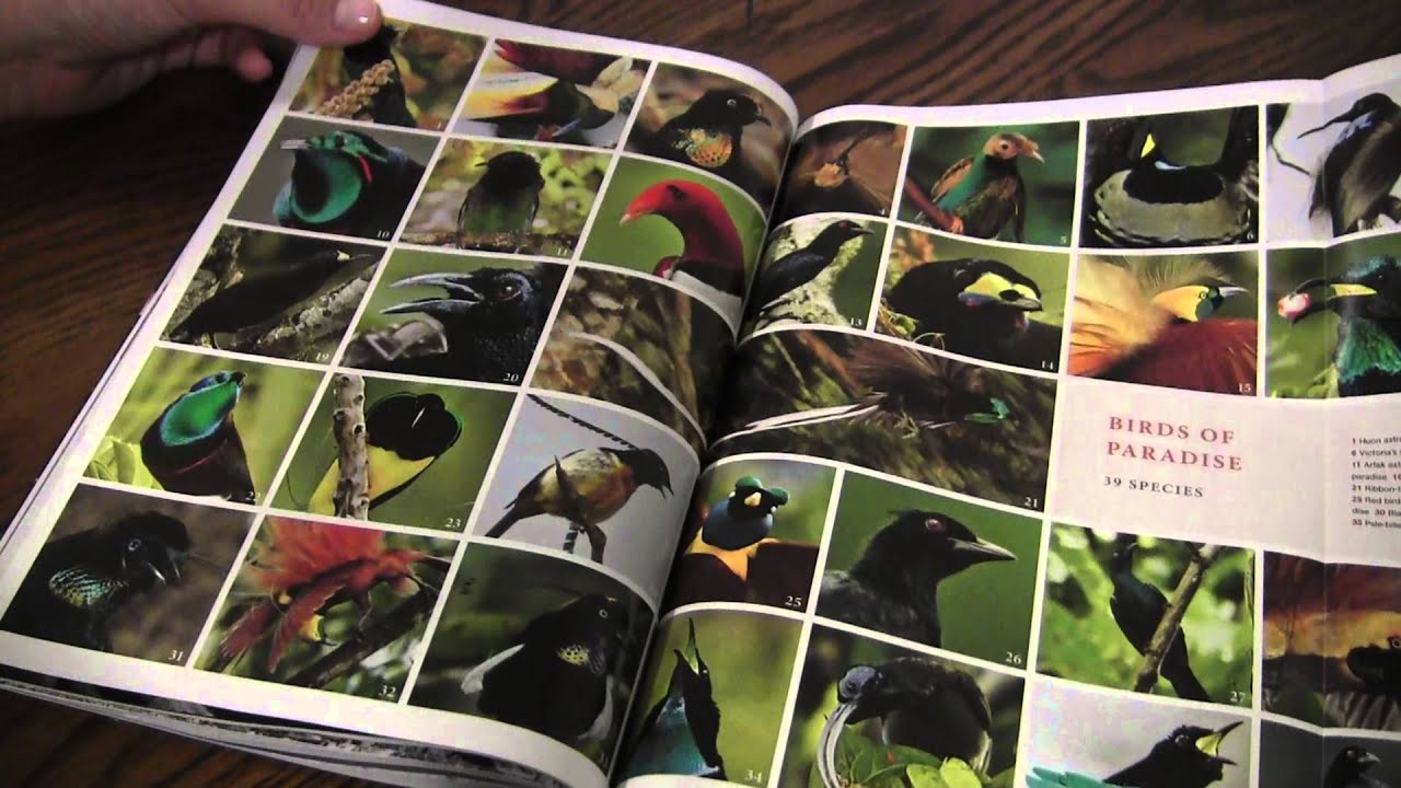 ASMR Nat Geo Whisper (flipping through a National Geographic issue)