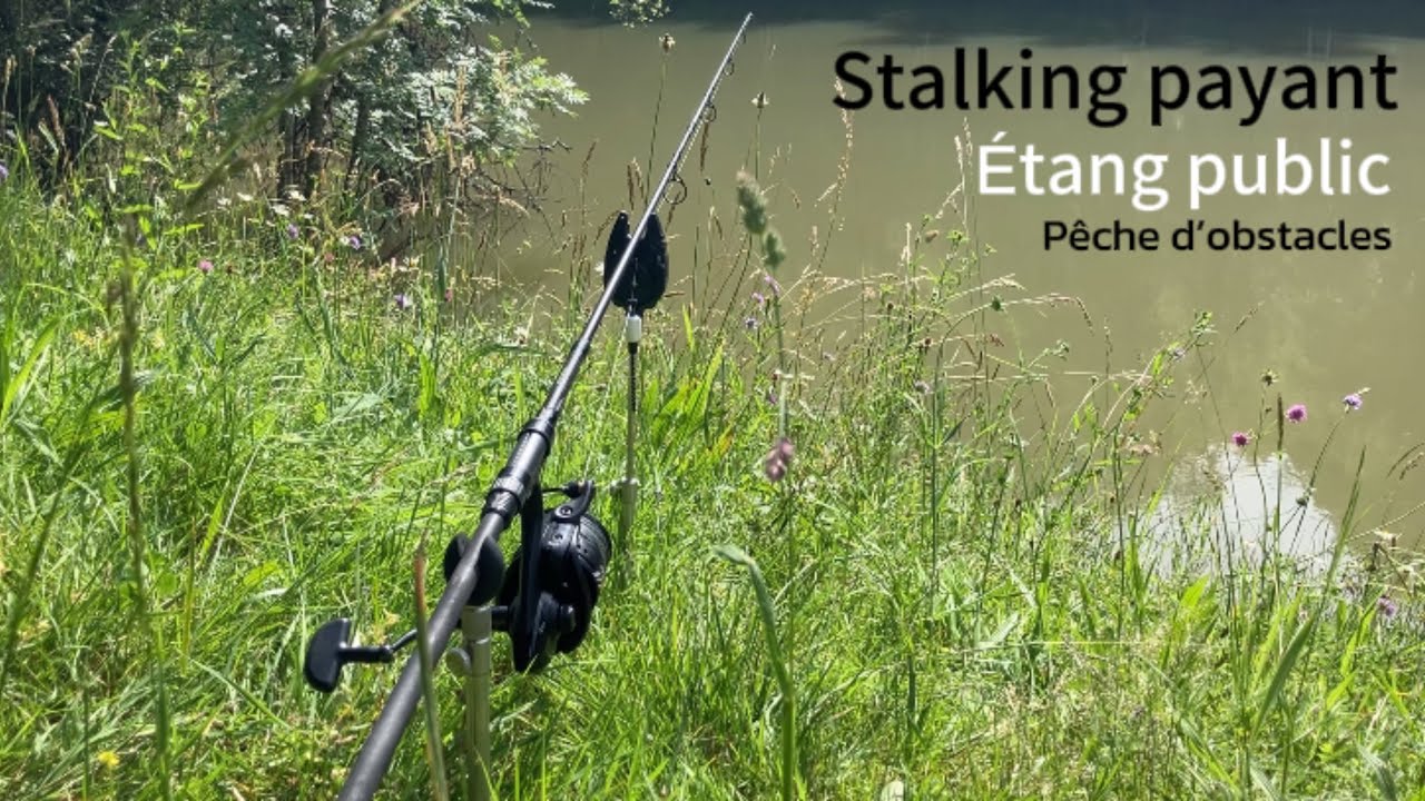 Quelques heures en stalking / pêche à la carpe