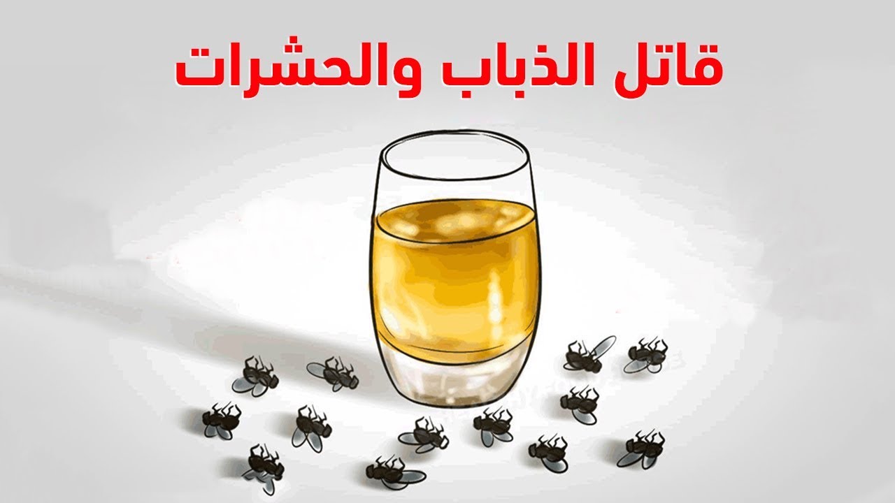 ضع هذا في منزلك وبعد ساعتين.. سيختفي الذباب والحشرات من منزلك !!